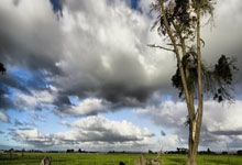 征途国际体育：客场不敌阿根廷，巴西首次在世预赛中被打进4球.