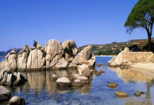 征途国际体育：[NBA]詹姆斯和布朗尼同时登场 NBA历史首次父子同台.